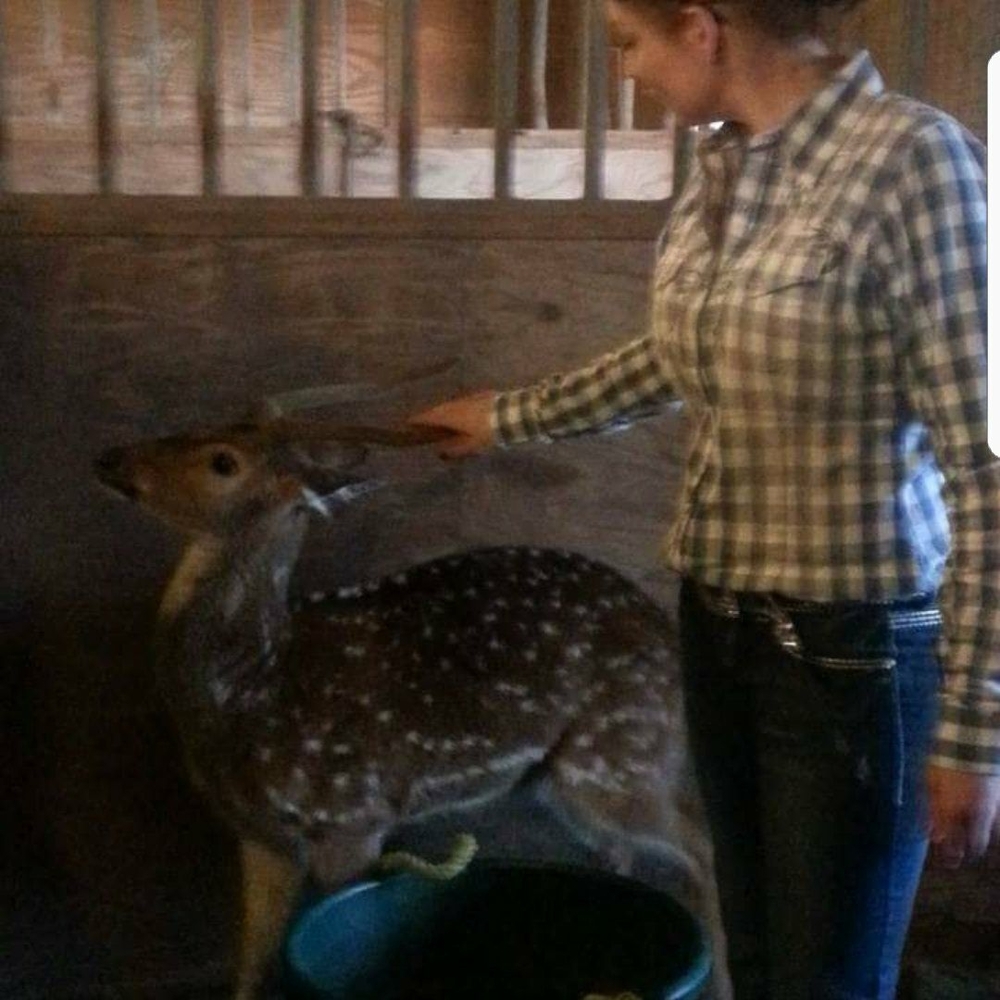 Meet your Posher, Shelly